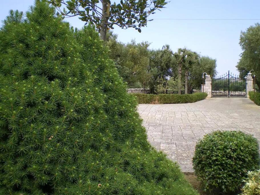 Trulli Giulivi Villa Locorotondo Dış mekan fotoğraf